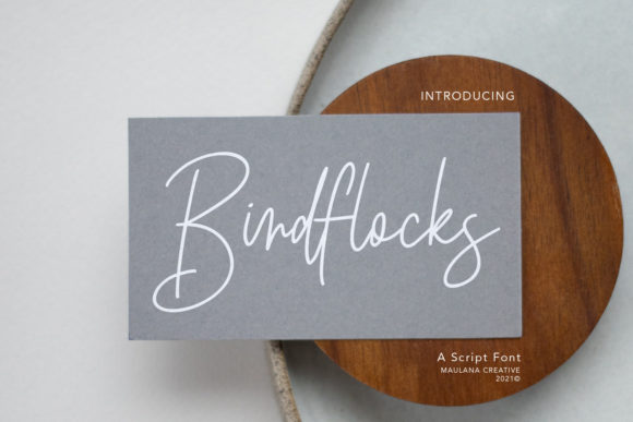 Birdflocks Script: A Fashionable Font for Modern Creators