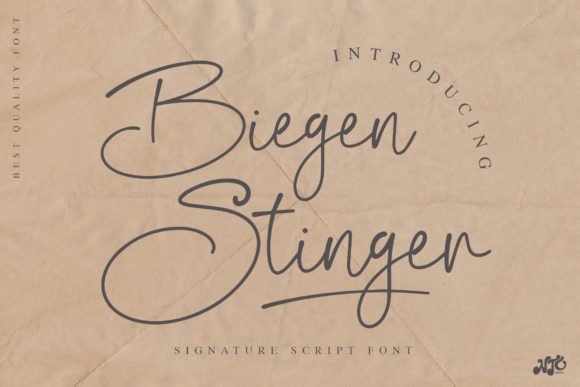 Bring Elegance to Your Work with Biegen Stinger Script