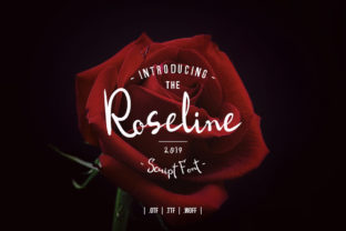 Discovering the Authentic Spark of Roseline Script